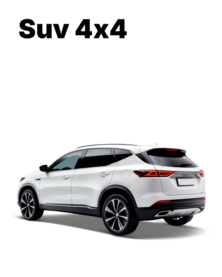 Home 14 SUV 4X4-100